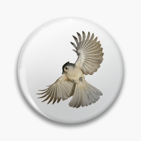 Item preview, Crested tit 3 designed and sold by di-Vera-Rosati.