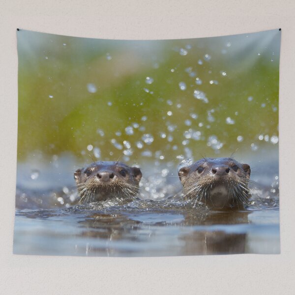 Item preview, Playful Otters Splashing Together – Cute Water Moment designed and sold by EK-World.