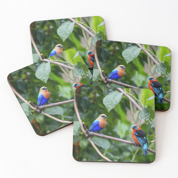 Item preview, Vibrant Blue & Orange Tanagers on Branch – Tropical Bird Pair designed and sold by EK-World.