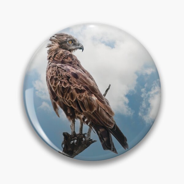 Item preview, Brown Snake Eagle On Alert designed and sold by Kay Brewer.