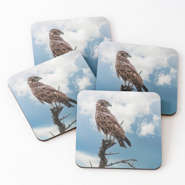 Item preview, Brown Snake Eagle On Alert designed and sold by Kay Brewer.