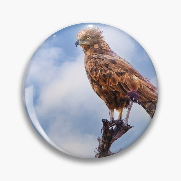 Item preview, Brown Snake Eagle designed and sold by Kay Brewer.