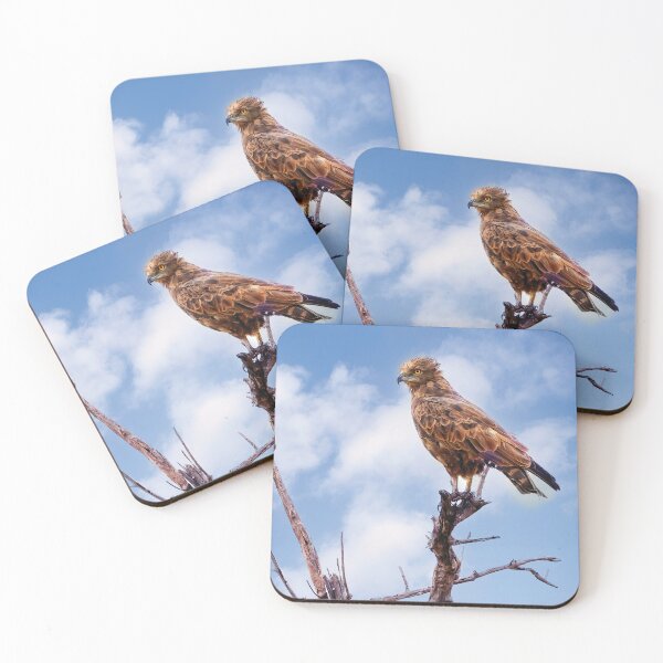 Item preview, Brown Snake Eagle designed and sold by Kay Brewer.