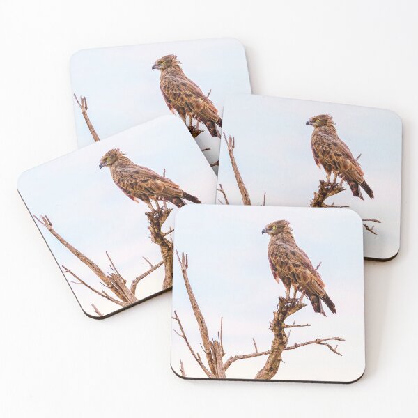 Item preview, The Brown Snake Eagle designed and sold by Kay Brewer.