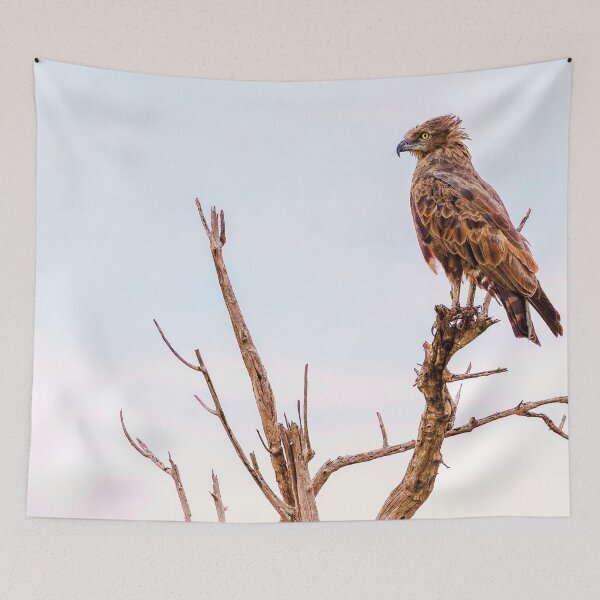 Item preview, The Brown Snake Eagle designed and sold by Kay Brewer.