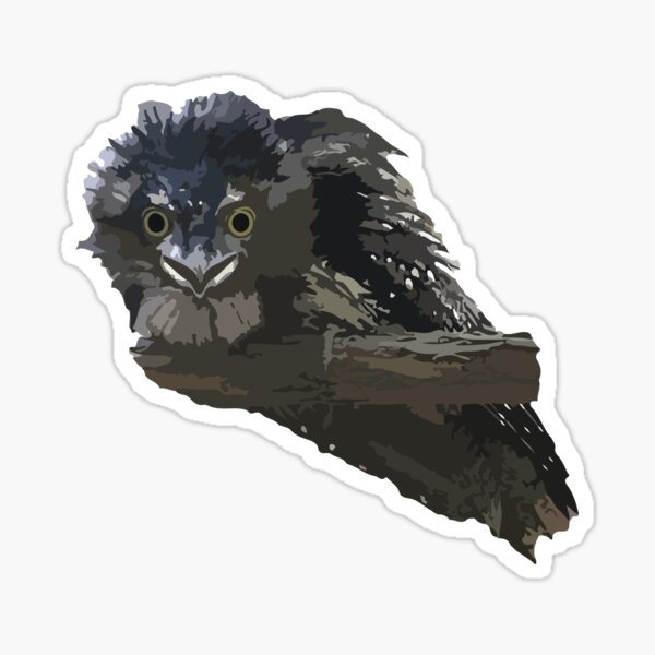 Tawny Frogmouth Tile Sticker