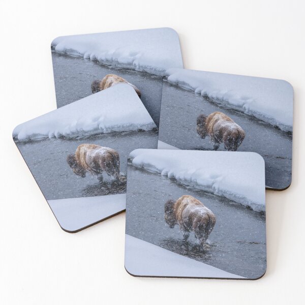Item preview, Bison Wading in Yellowstone National Park designed and sold by SafariByMarisa.