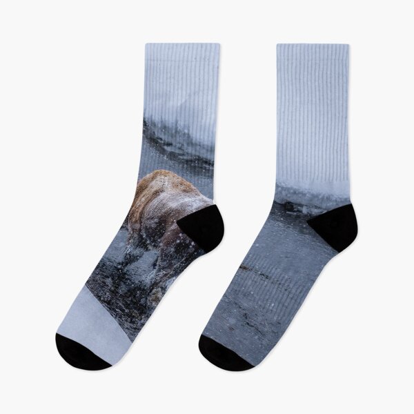 Item preview, Bison Wading in Yellowstone National Park designed and sold by SafariByMarisa.
