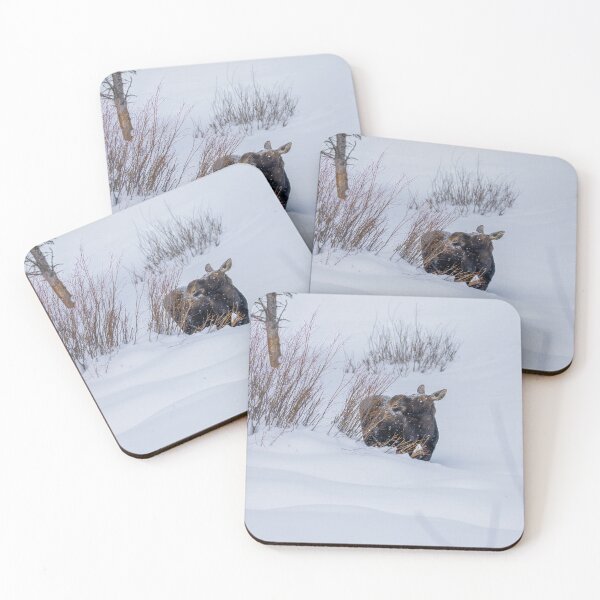 Item preview, Moose in the Snowy Grass designed and sold by SafariByMarisa.