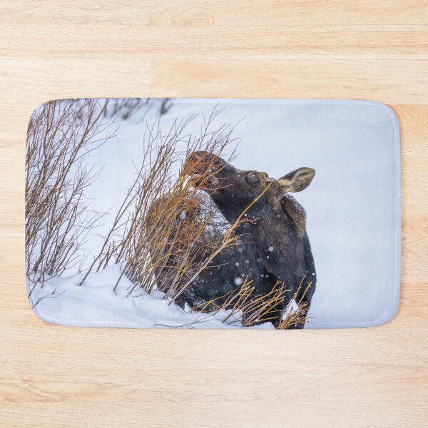 Item preview, Moose Eating Grass, Wintertime, Yellowstone National Park designed and sold by SafariByMarisa.