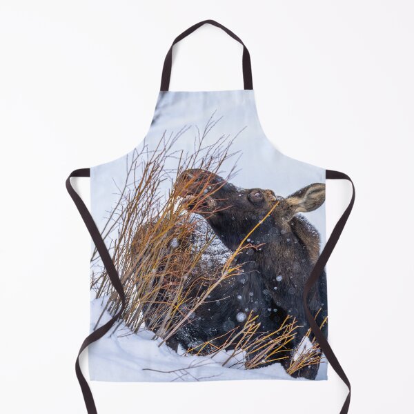 Item preview, Moose Eating Grass, Wintertime, Yellowstone National Park designed and sold by SafariByMarisa.