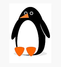 Penguin 1. Photographic Print