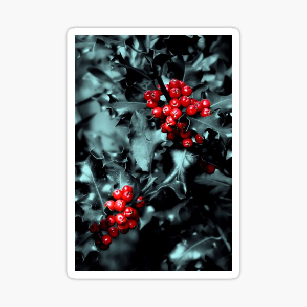 Red Berries Sticker