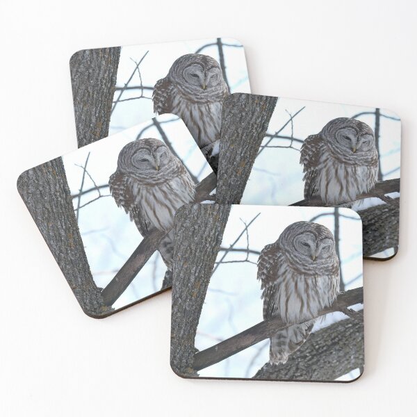 Item preview, Barred Owl Winter Perch designed and sold by locustgirl.