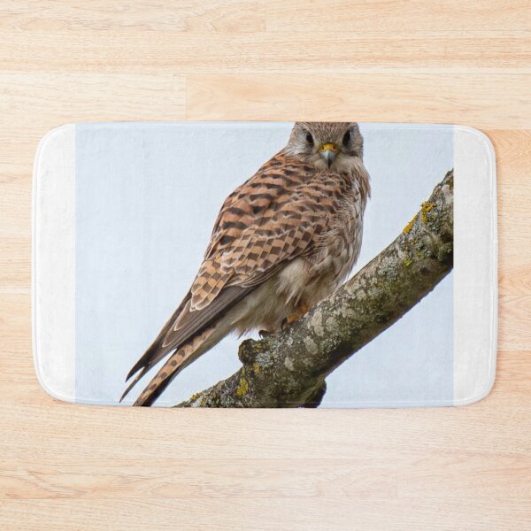 Item preview, Majestic Kestrel Perched designed and sold by Wieckmananddoc.