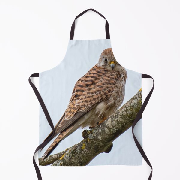 Item preview, Majestic Kestrel Perched designed and sold by Wieckmananddoc.