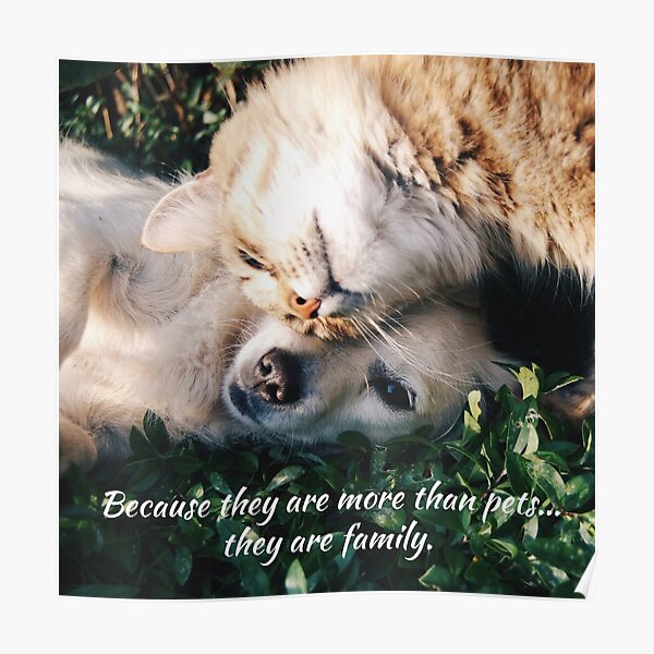 Because they are more than pets, they are family. Poster