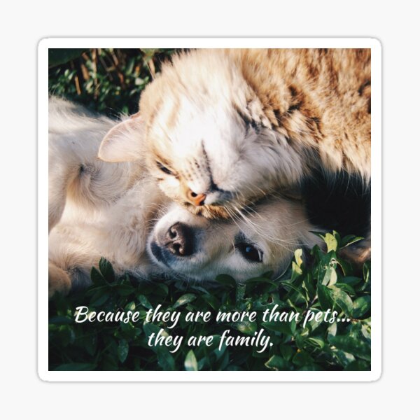 Because they are more than pets, they are family. Sticker