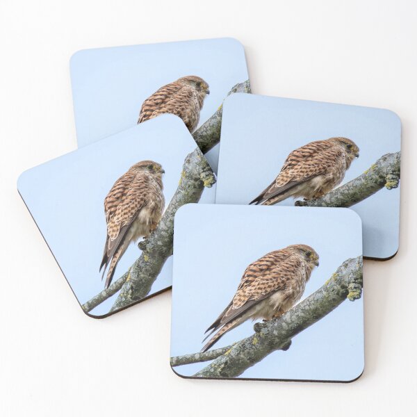 Item preview, Kestrel Wildlife Scene designed and sold by Wieckmananddoc.