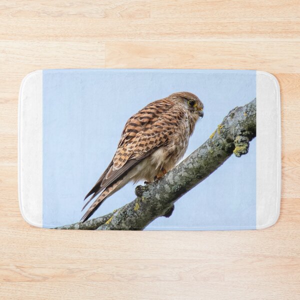 Item preview, Kestrel Wildlife Scene designed and sold by Wieckmananddoc.