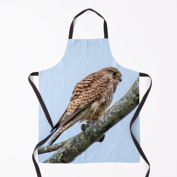 Item preview, Kestrel Wildlife Scene designed and sold by Wieckmananddoc.