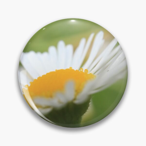 Item preview, Daisy Skyward: Botanical Macro Photography designed and sold by vikko-art.