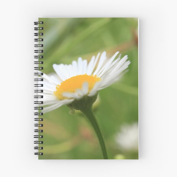 Item preview, Daisy Skyward: Botanical Macro Photography designed and sold by vikko-art.