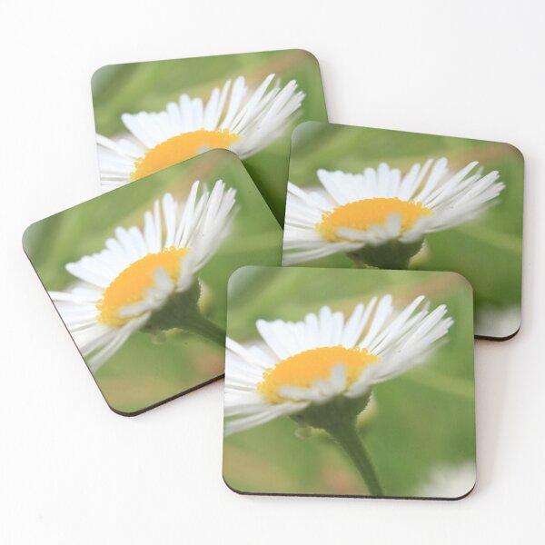 Item preview, Daisy Skyward: Botanical Macro Photography designed and sold by vikko-art.
