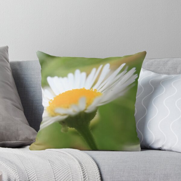 Item preview, Daisy Skyward: Botanical Macro Photography designed and sold by vikko-art.