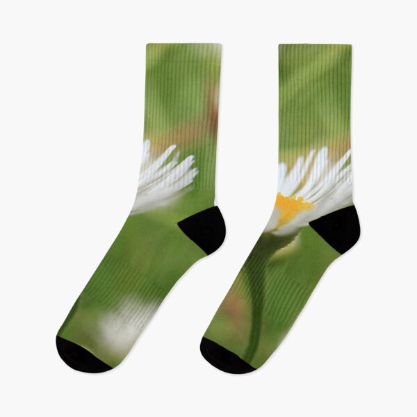 Item preview, Daisy Skyward: Botanical Macro Photography designed and sold by vikko-art.