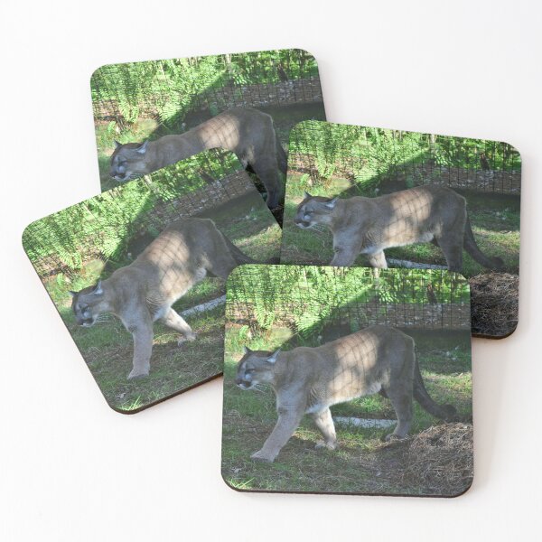 Item preview, Puma Walking in Enclosure designed and sold by MercerImages.