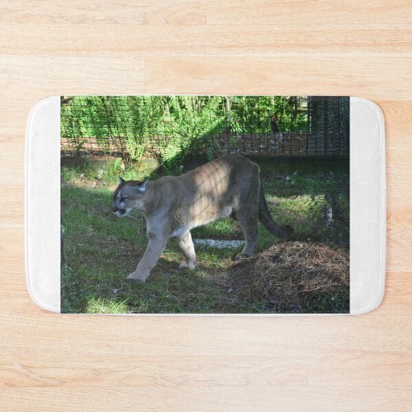 Item preview, Puma Walking in Enclosure designed and sold by MercerImages.
