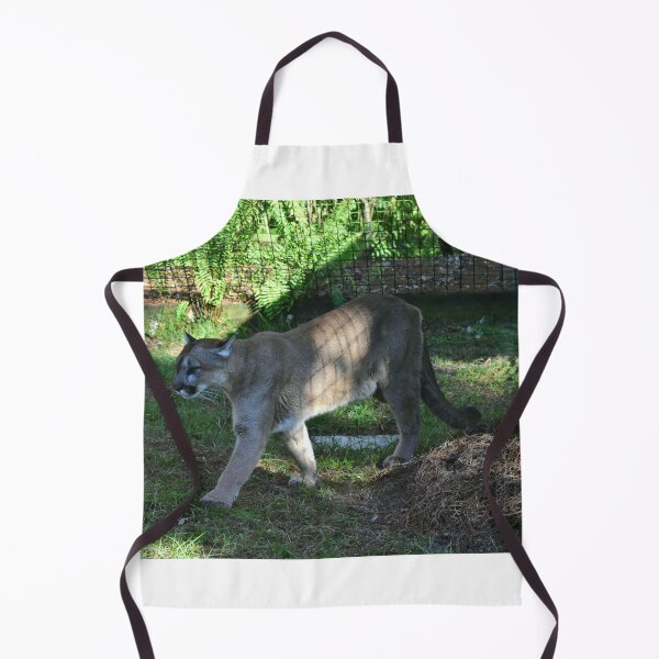 Item preview, Puma Walking in Enclosure designed and sold by MercerImages.