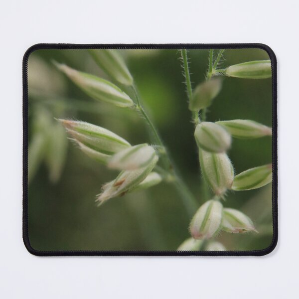 Item preview, Green Grass Macro Photography with Soft Bokeh designed and sold by vikko-art.