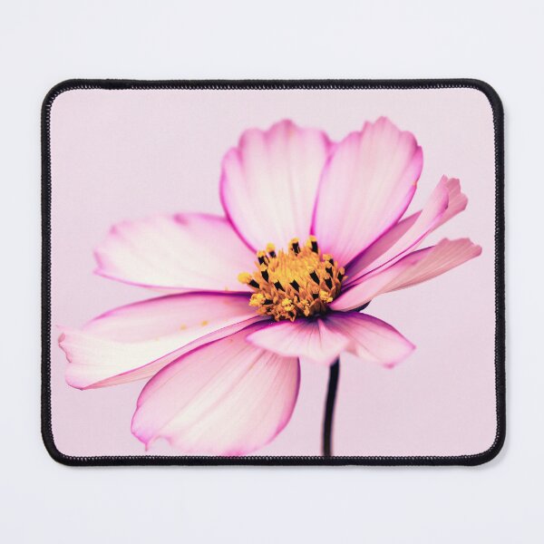 Item preview, Pink Cosmos Flower designed and sold by Tanya C Smith.