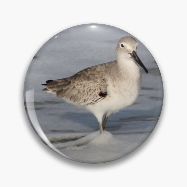 Item preview, The willet in the surf designed and sold by Jmb67.