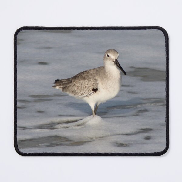 Item preview, The willet in the surf designed and sold by Jmb67.