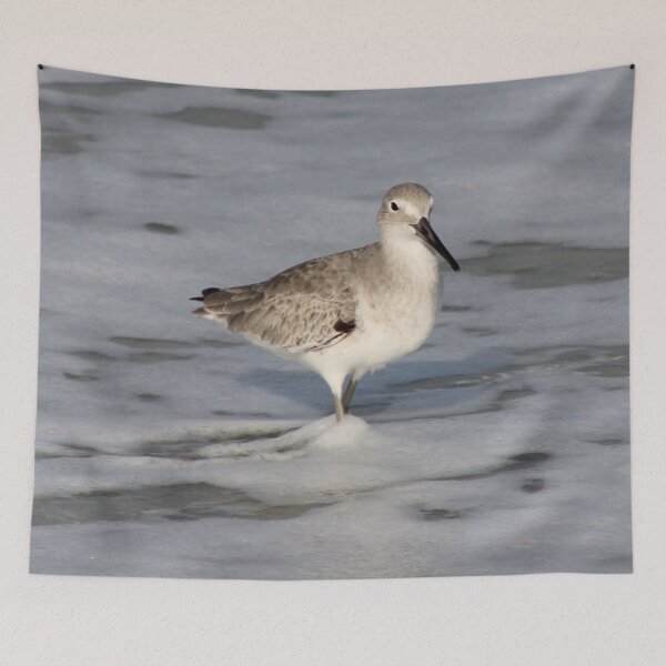 Item preview, The willet in the surf designed and sold by Jmb67.