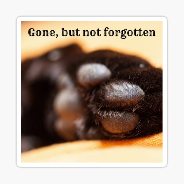 Gone but not forgotten (paw) Sticker