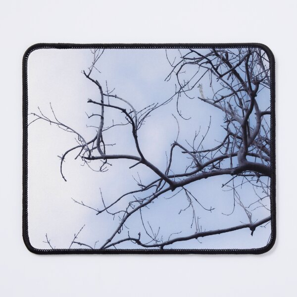 Item preview, Branches designed and sold by Tanya C  Smith.