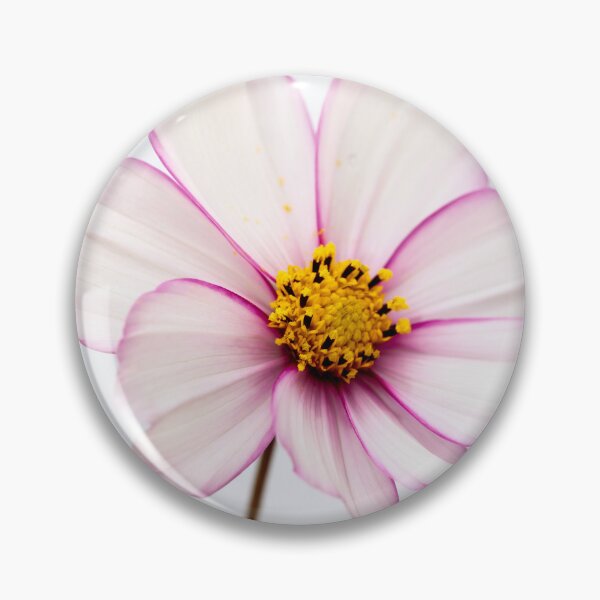 Item preview, Portrait Of A Cosmos Flower designed and sold by Tanya C  Smith.