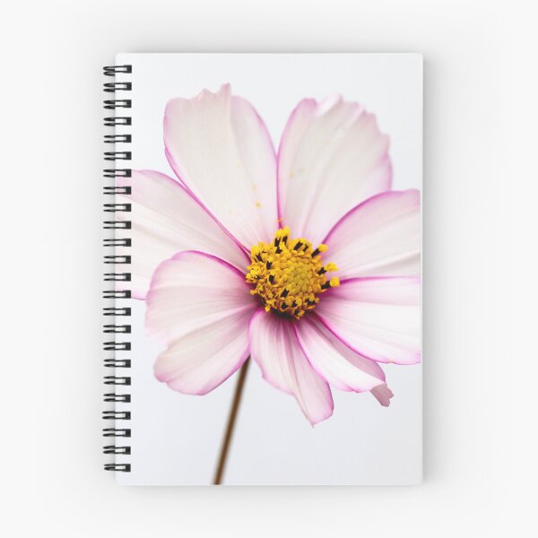 Item preview, Portrait Of A Cosmos Flower designed and sold by Tanya C  Smith.
