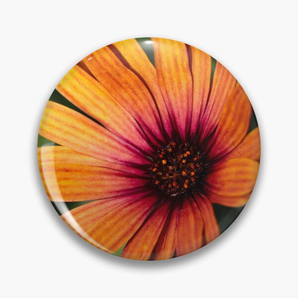 Item preview, Close Up Orange Flower Photography | Vibrant Floral Nature Macro Art designed and sold by leonwoods.