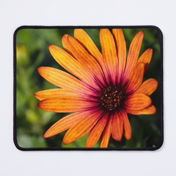 Item preview, Close Up Orange Flower Photography | Vibrant Floral Nature Macro Art designed and sold by leonwoods.