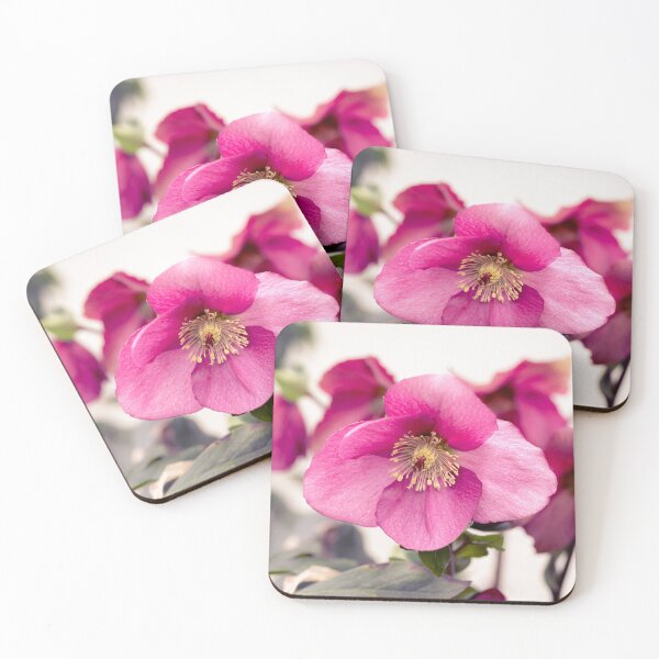 Item preview, Leona Helleborus Flower designed and sold by Tanya C  Smith.