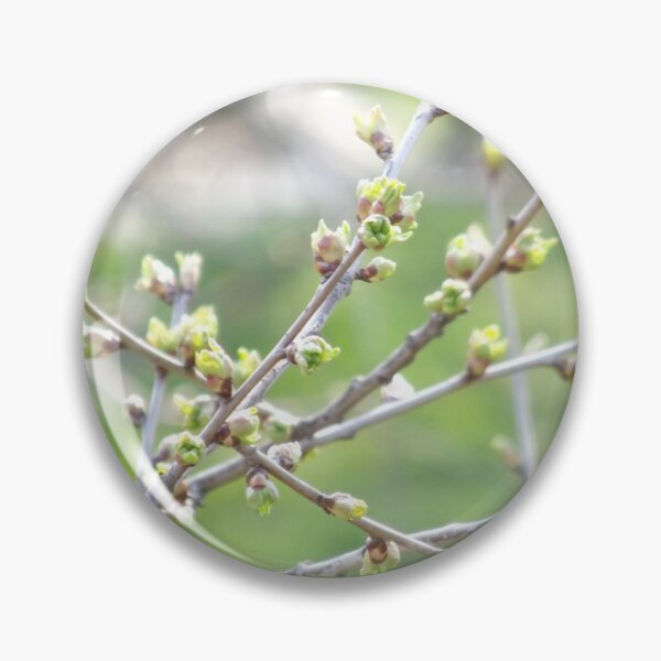 Item preview, Green buds emerging  on the tree designed and sold by Betulek.