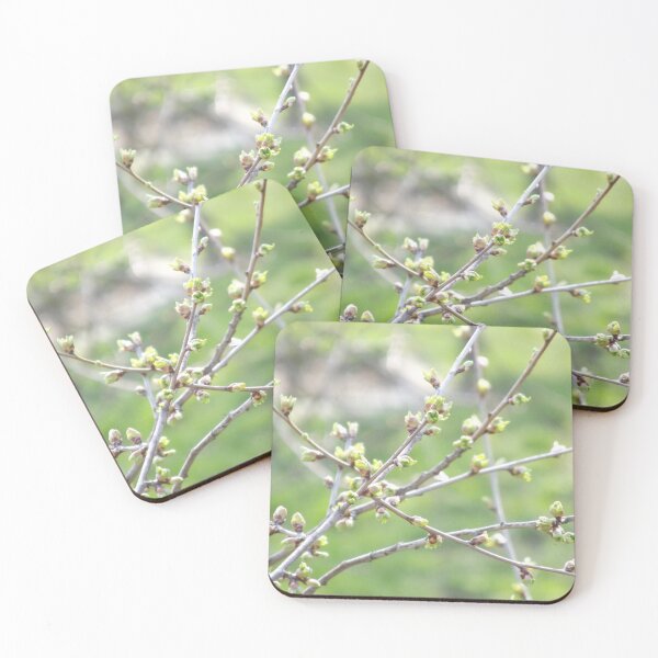 Item preview, Green buds emerging  on the tree designed and sold by Betulek.