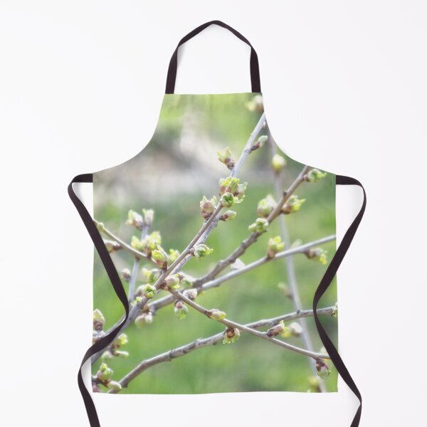 Item preview, Green buds emerging on the tree designed and sold by Betulek.