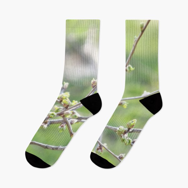 Item preview, Green buds emerging  on the tree designed and sold by Betulek.