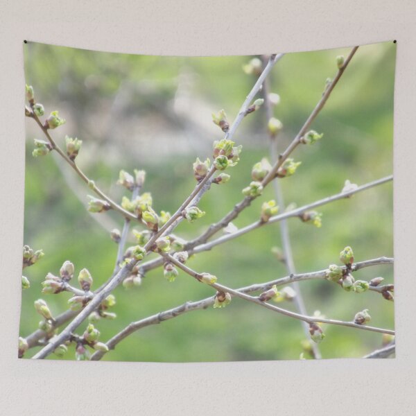 Item preview, Green buds emerging  on the tree designed and sold by Betulek.